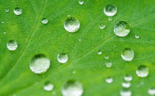 超疏水涂层效果